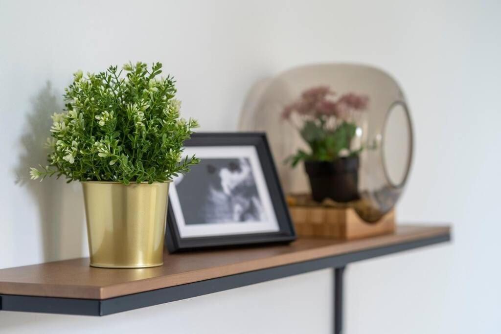 Apartment Cosy I Chic And Bright